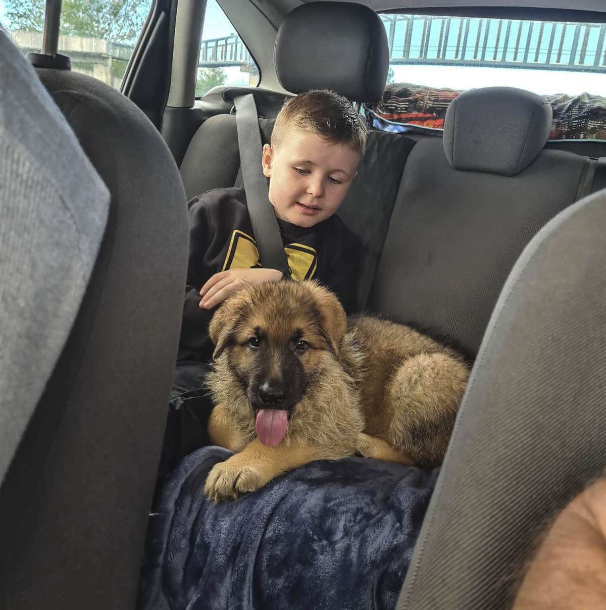 8 Weeks old Going Home