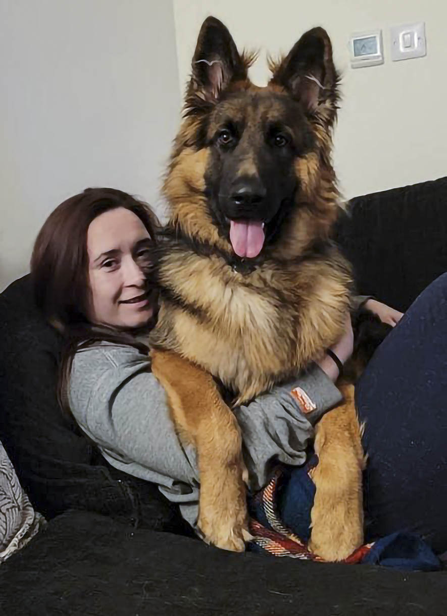 By Gucci 8 months old