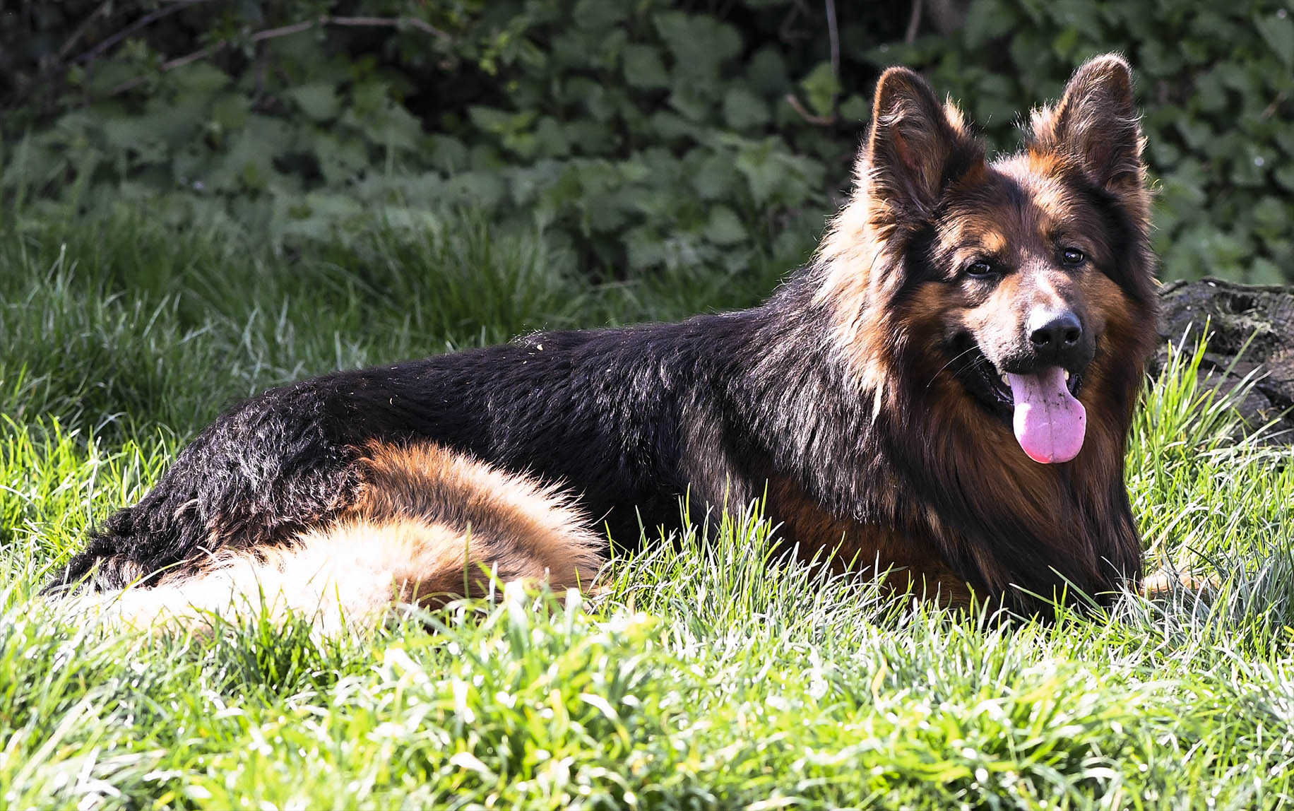 Kaerntern Cash by Leo Texas