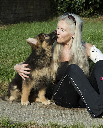 good german shepherd breeders