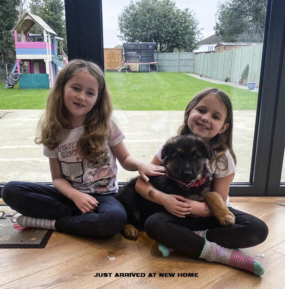 Happy Girls and puppy